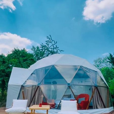 Phalesia Glamping Otel Sapanca Εξωτερικό φωτογραφία