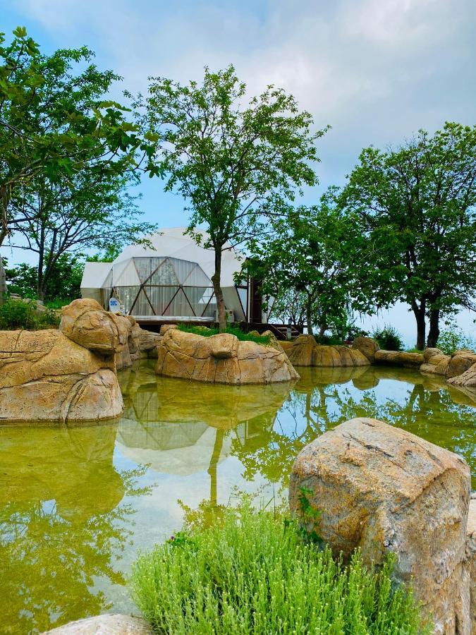 Phalesia Glamping Otel Sapanca Εξωτερικό φωτογραφία