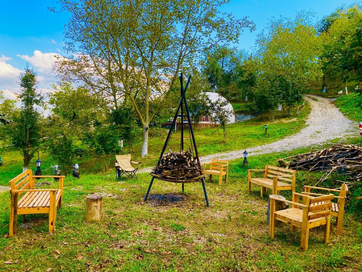 Phalesia Glamping Otel Sapanca Εξωτερικό φωτογραφία