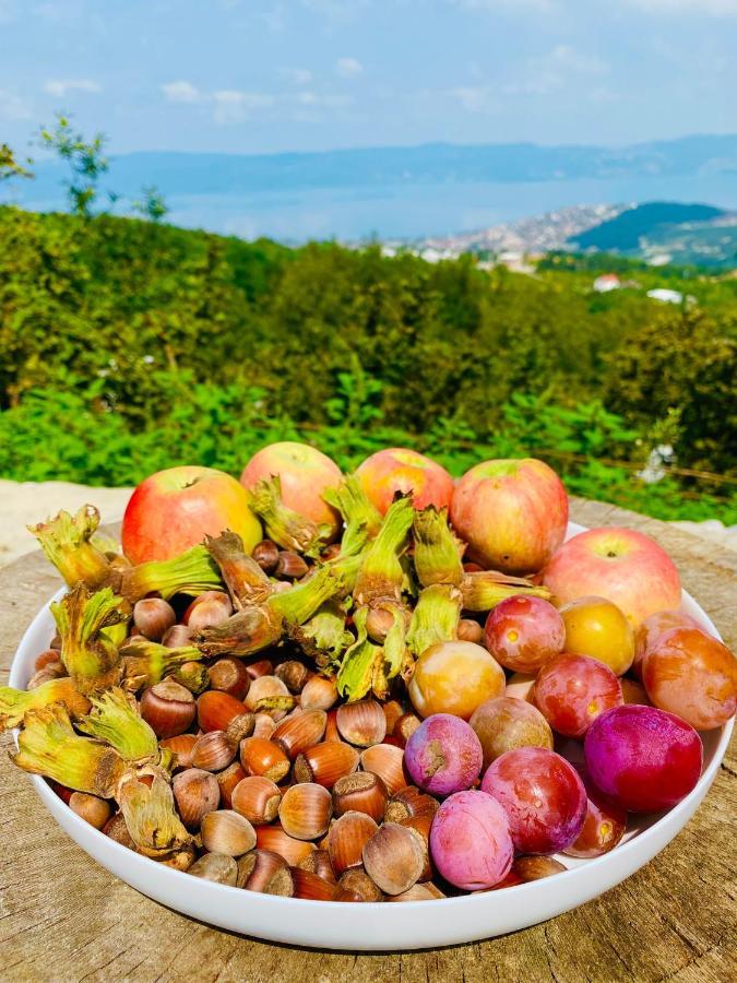 Phalesia Glamping Otel Sapanca Εξωτερικό φωτογραφία
