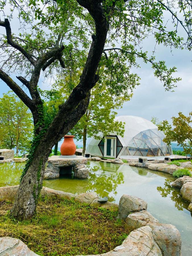 Phalesia Glamping Otel Sapanca Εξωτερικό φωτογραφία