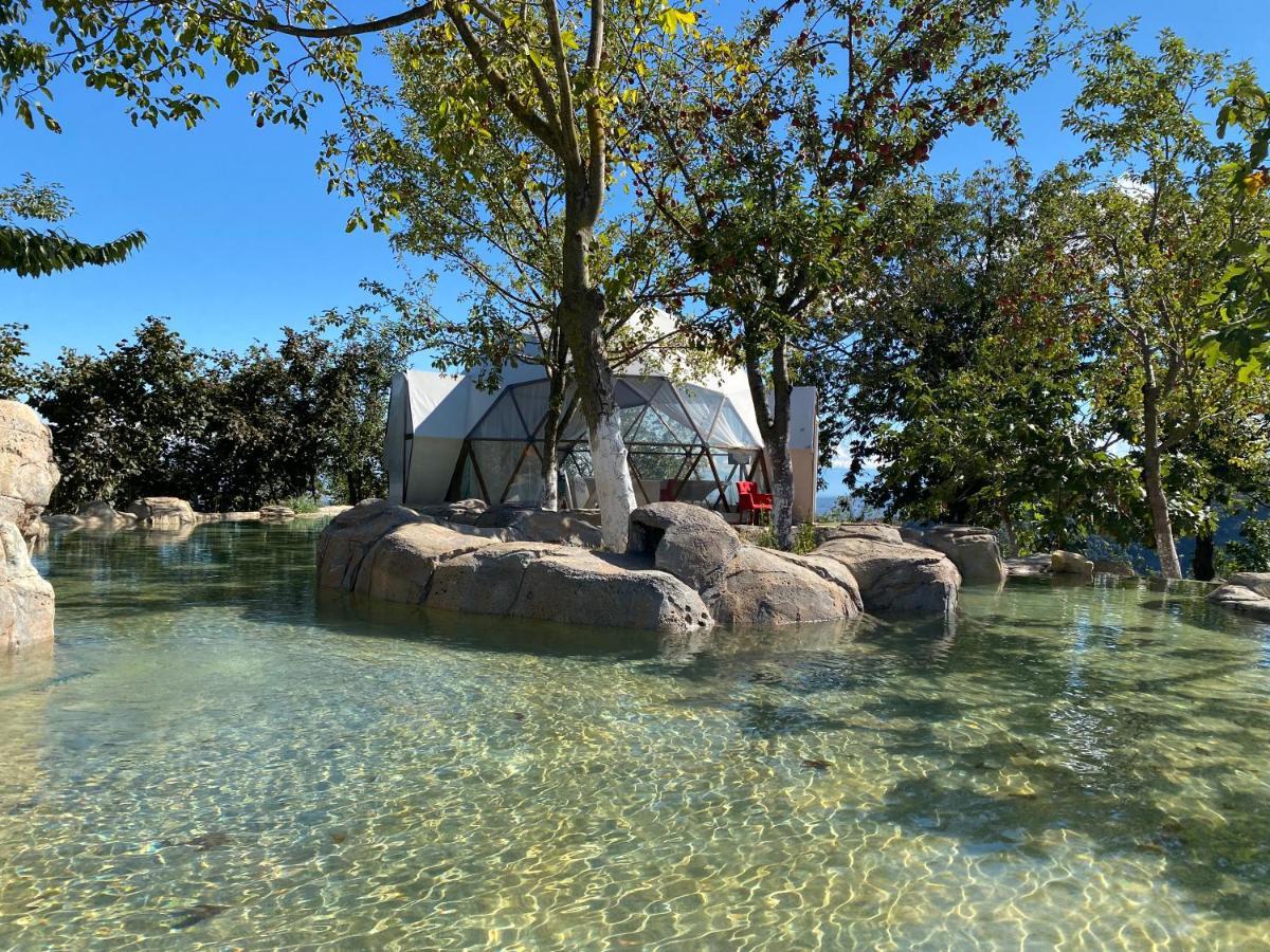 Phalesia Glamping Otel Sapanca Εξωτερικό φωτογραφία