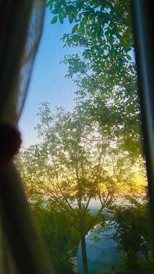 Phalesia Glamping Otel Sapanca Εξωτερικό φωτογραφία