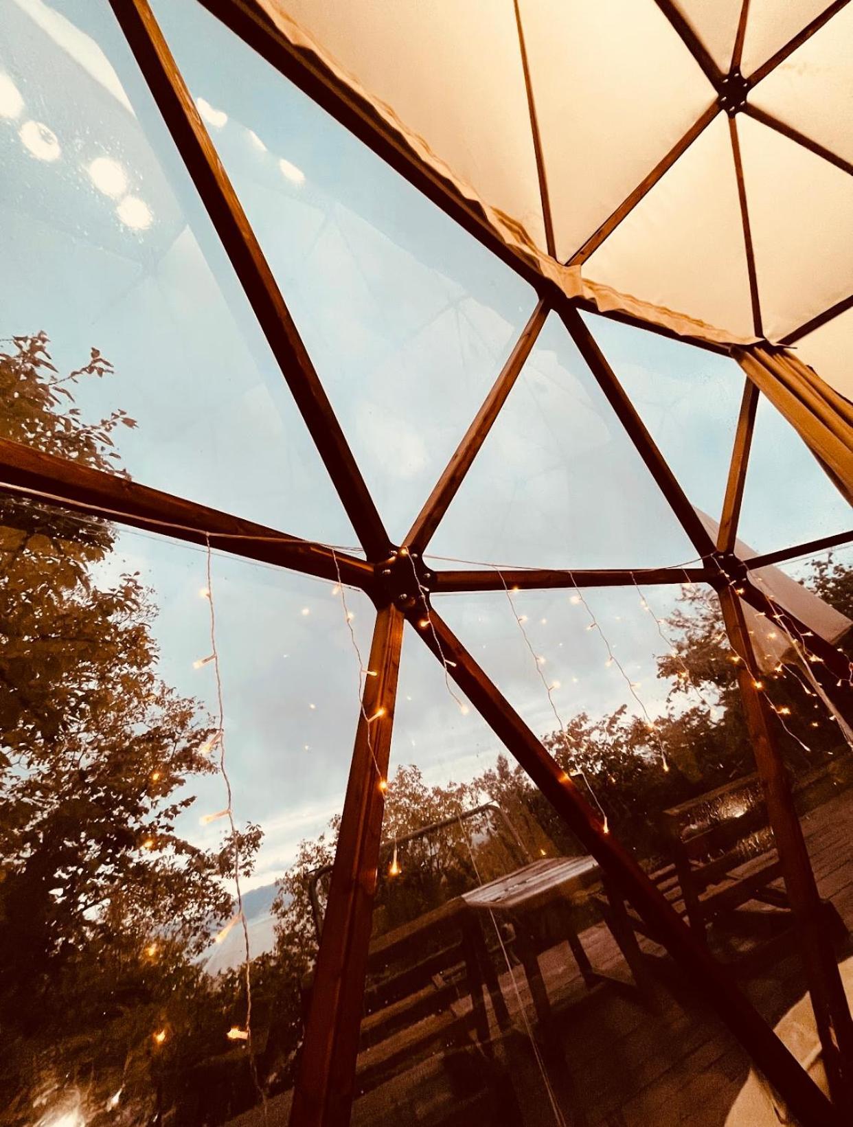 Phalesia Glamping Otel Sapanca Εξωτερικό φωτογραφία