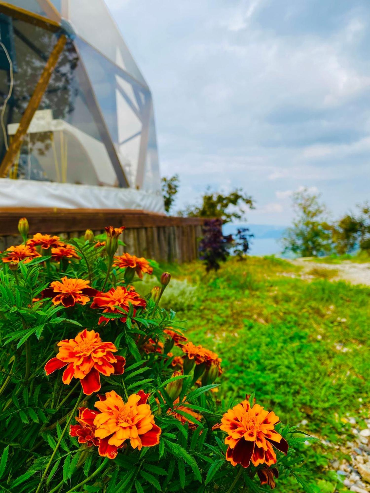 Phalesia Glamping Otel Sapanca Εξωτερικό φωτογραφία
