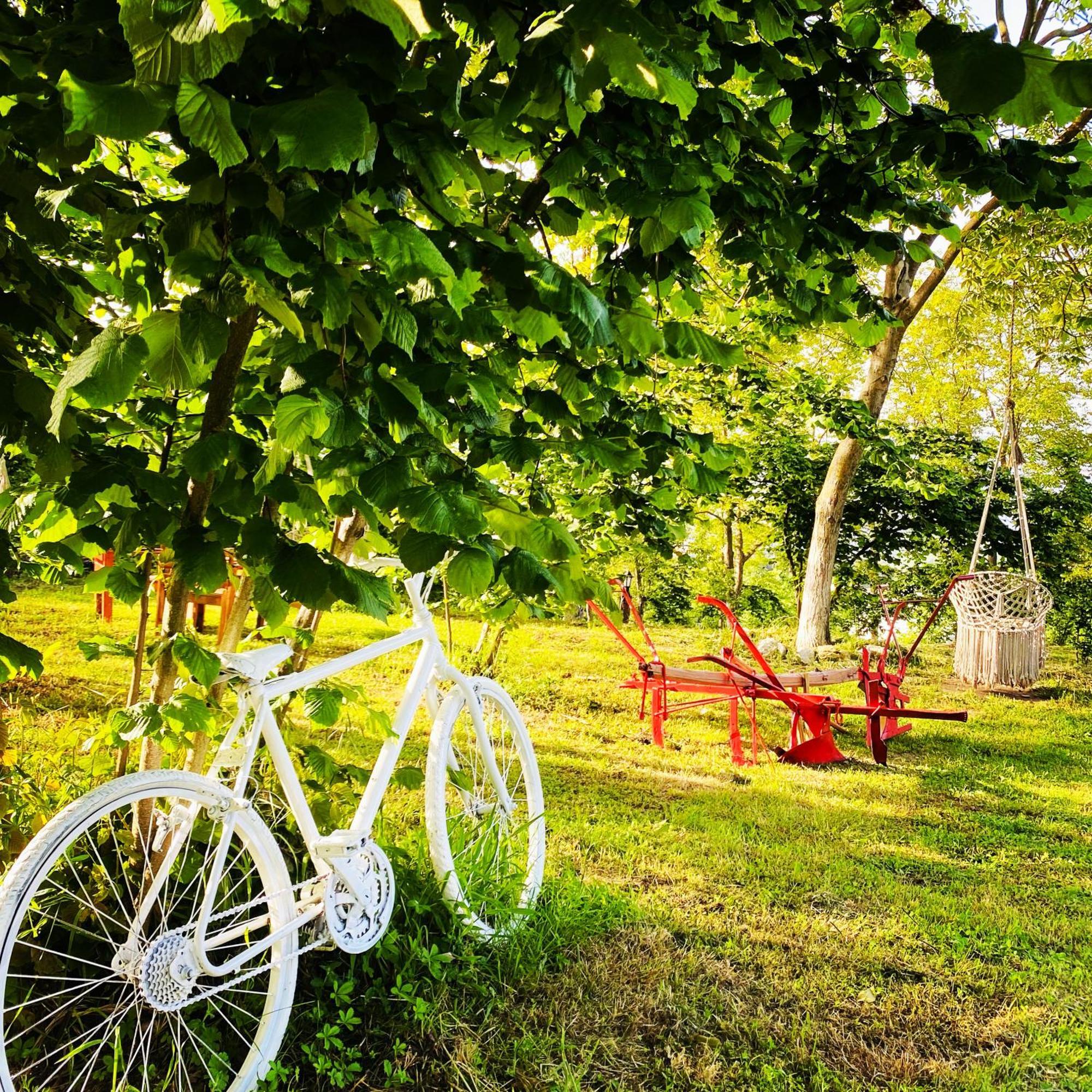 Phalesia Glamping Otel Sapanca Εξωτερικό φωτογραφία